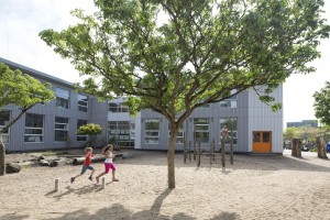 obs De Wilgenstam Foto Eric Fecken